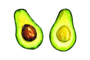 Avocado Watercolor Style: Crafts & Food Amp Review