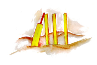 Beach Cricket in Watercolor Style for Australian Crafts