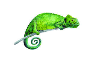Chameleon - Watercolor: A Designer’s Field Test