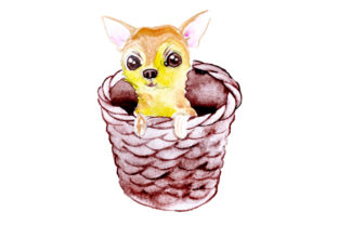 Chihuahua Puppy in Basket Watercolor: Crafts & Dogs Art