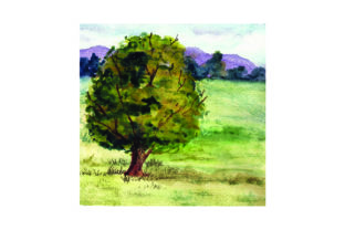 Grasslands in Watercolor: A Nature Amp Crafts Review