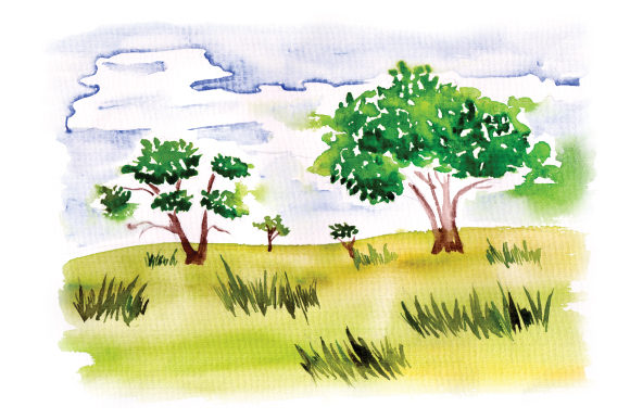 Grasslands Scene in Watercolor for Crafts & Nature Amp