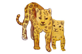 Mom and Baby Leopards Watercolor: Crafts & Animals Review