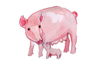 Mom and Baby Pigs in Watercolor Style for Crafts & Animals
