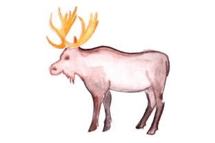 Moose in Watercolor: A Stitch-Ready Design Review