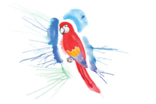 Parrot Paint Splatter Watercolor for Animal Crafts