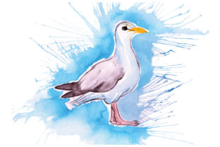 Seagull Paint Splatter Watercolor: Animal Craft Design Review