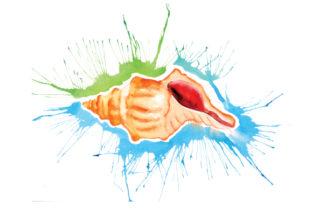 Seashell Splatter Watercolor Crafts & Designs Amp
