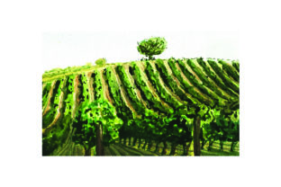 Vineyard Watercolor Style: Wine Country Crafts