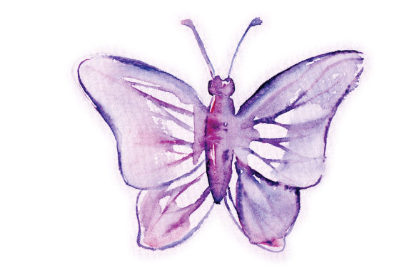 Watercolor Mauve Butterfly Craft & Animal Design Review