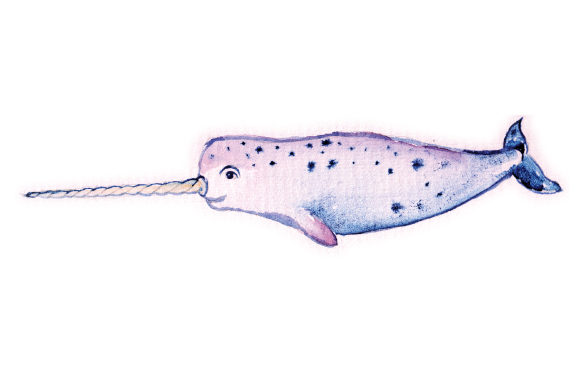 Watercolor Narwhal: A Cute Animal Design for Craft Sellers