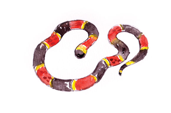 Watercolor Sanke: Animal Crafts for Handmade Sellers